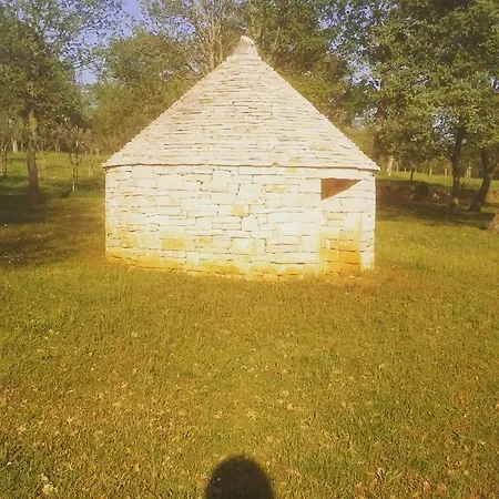 Transition Retreat * Višnjan
