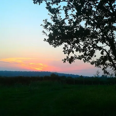 Transition Retreat * Višnjan