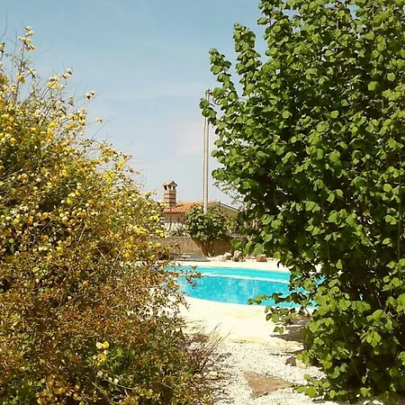 Transition Retreat * Višnjan